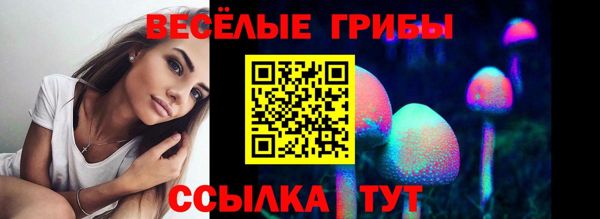 Южноуральск  Галлюциногенные грибы Cubensis  Вход с VPN  Псилоцибиновые грибы MAGIC MUSHROOMS 